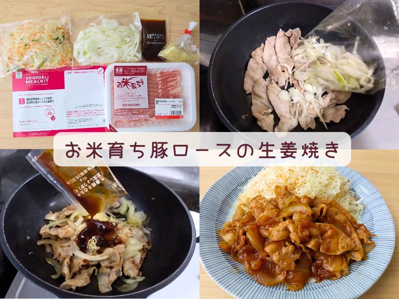 惣菜 ミールキット 高級 ミールキットおすすめランキング 人気 美味しい商品を実食で比較 2026年7月 HonNe ホンネ